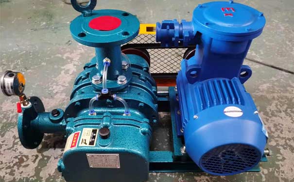 化工行業(yè)羅茨鼓風(fēng)機(jī)工廠(chǎng)實(shí)拍